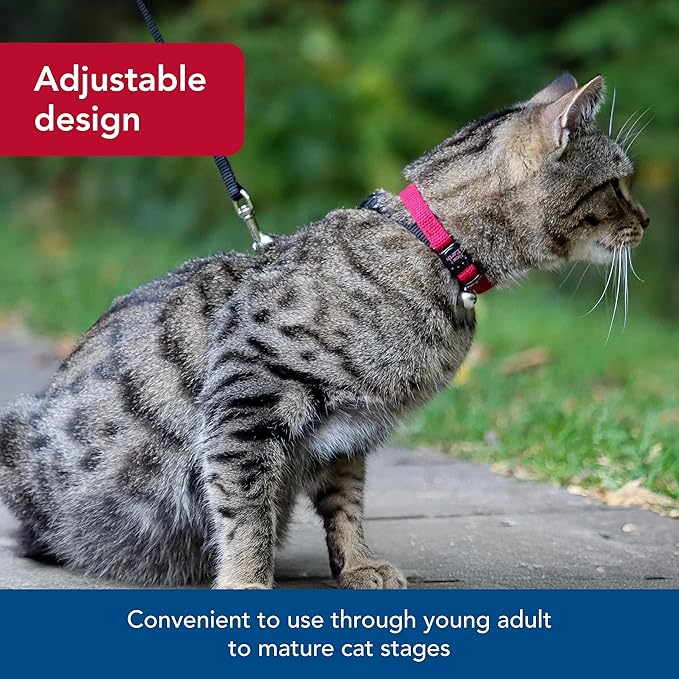 Coastal Pet New Earth Soy Adjustable Breakaway Cat Collar - Eco-Friendly, Odor-Resistant and Adjustable Cat Collar - Olive - 3/8" x 8"-12"