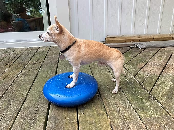 Dog Balance Disc Cushion 14" - With 2 Exercises and Pump - Dog rehab Exercise Strength Endurance Conditioning Fitness Flexibility Rehabilitation Physical Training Tool for Senior Dogs