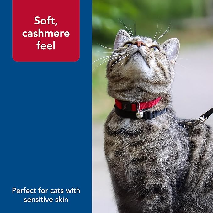 Coastal Pet New Earth Soy Adjustable Breakaway Cat Collar - Eco-Friendly, Odor-Resistant and Adjustable Cat Collar - Olive - 3/8" x 8"-12"