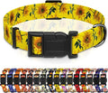 Dog Collar, Floral Boys Girls Puppy Collar for Small Medium Large Dogs, Adjustable Soft Pet Collar with Safety Buckle for Male Females (Yellow Sunflower, M)