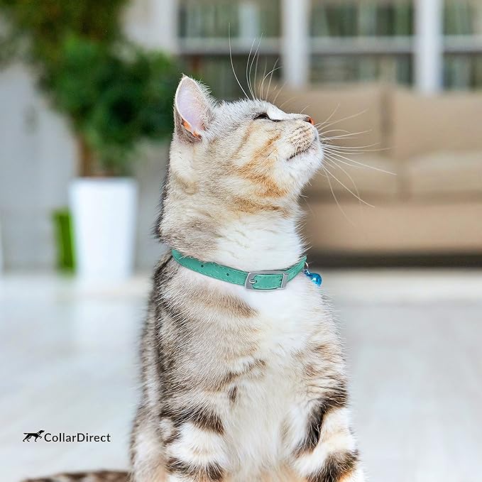 CollarDirect Leather Cat Collar, Cat Safety Collar with Elastic Strap, Kitten Collar for Cat with Bell Black Blue Red Orange Lime Green (Neck Fit 8"-11", Mint Green)