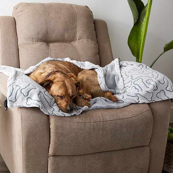 Bone Dry Embossed Bone Print Pet Blanket, 36x48", Gray