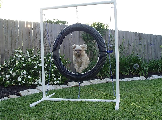 Tire Jump - Dog Agility Equipment
