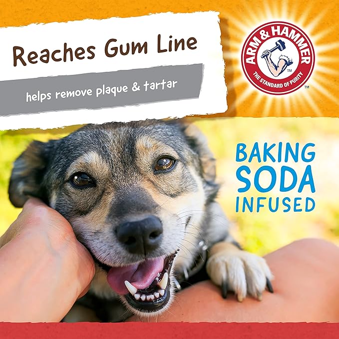 ARM & HAMMER for Pets Nubbies Wishbone Dog Dental Toy| Best Dog Chew Toy for Moderate Chewers | Dog Dental Toy Helps Reduce Plaque & Tartar | Chicken Flavor Baking Soda (Pack of 24)