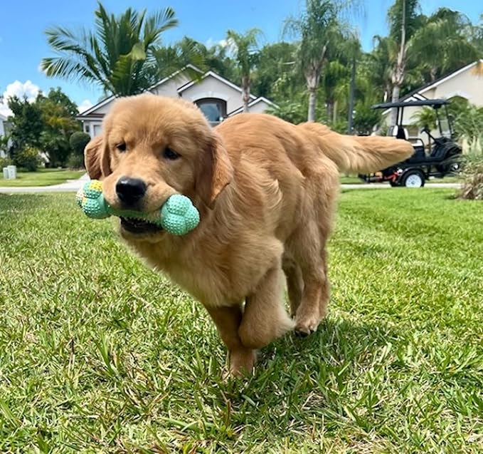 Nylabone Flavor Frenzy Barbell Puppy Chew Toy, Rubber Toys for Teething Puppies, Peanut Butter & Banana Flavor, Medium Dogs - Up to 35 lbs., 1 Count