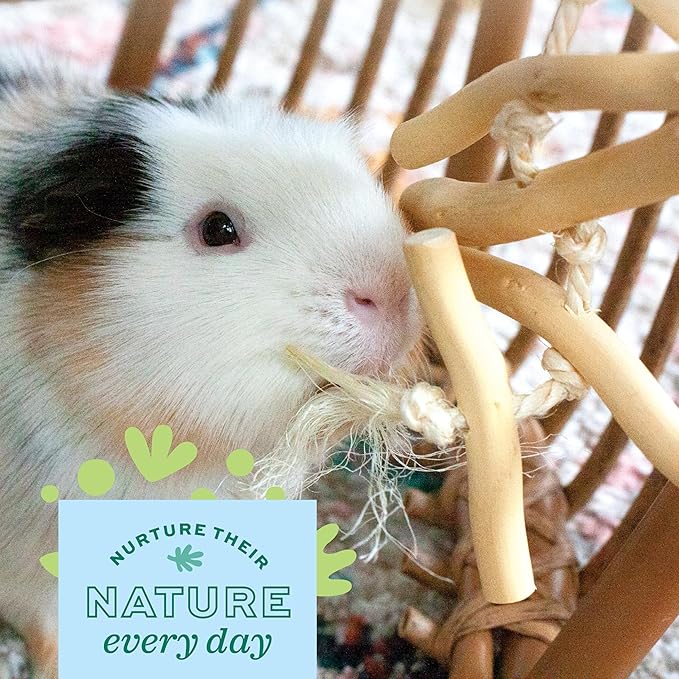 Oxbow Enriched Life Natural Dangly Party Pack, Rabbit Toys, Guinea Pig Toys, Enrichment for Bunny, Guinea Pig, Hamster Stuff, Rabbit Enrichment, Chinchilla, Rat, Chinchilla Cage Accessories