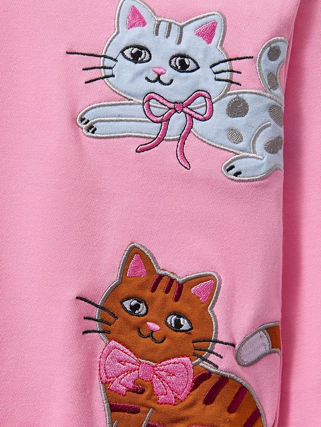 Toddler Baby Girls Cotton Sweater, Long Sleeve Crewneck Sweatshirt Pullover Kids Warm Clothing for Fall Winter