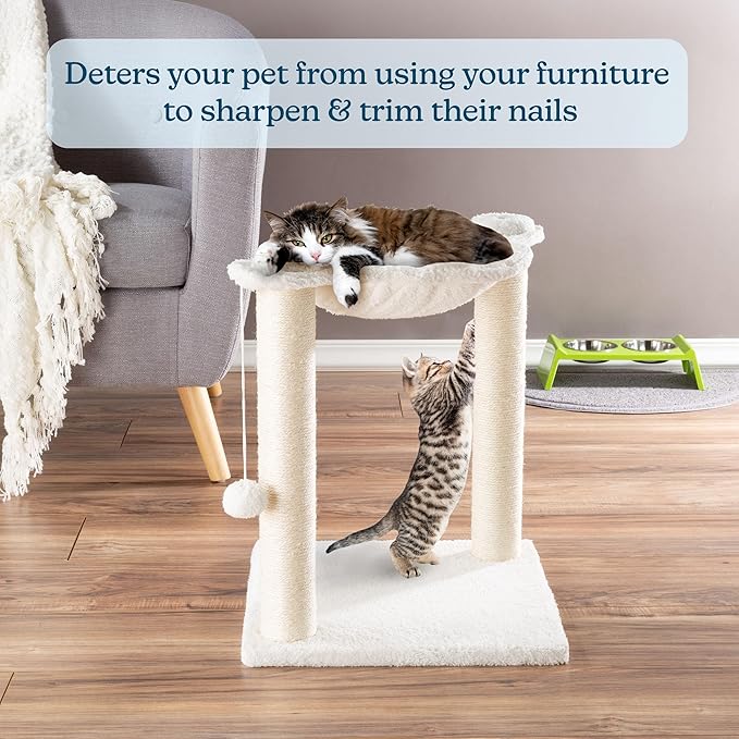 19-Inch Cat Scratching Post with Hammock ? Sisal Fabric and Carpet Small Cat Tree, Hanging Ball Toy for Adult Cats and Kittens by PETMAKER (White)