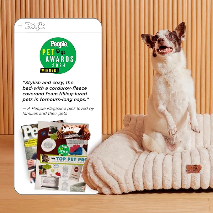 Bedsure Cute Cat Couch for Pets - Fluffy Cat beds with Premium Soft Corduroy Fleece, Fuzzy Cats beds for Indoor Cats with Removable Washable Cover, Supportive Pet Sofa, 24inch, Cream (Pack of 2)