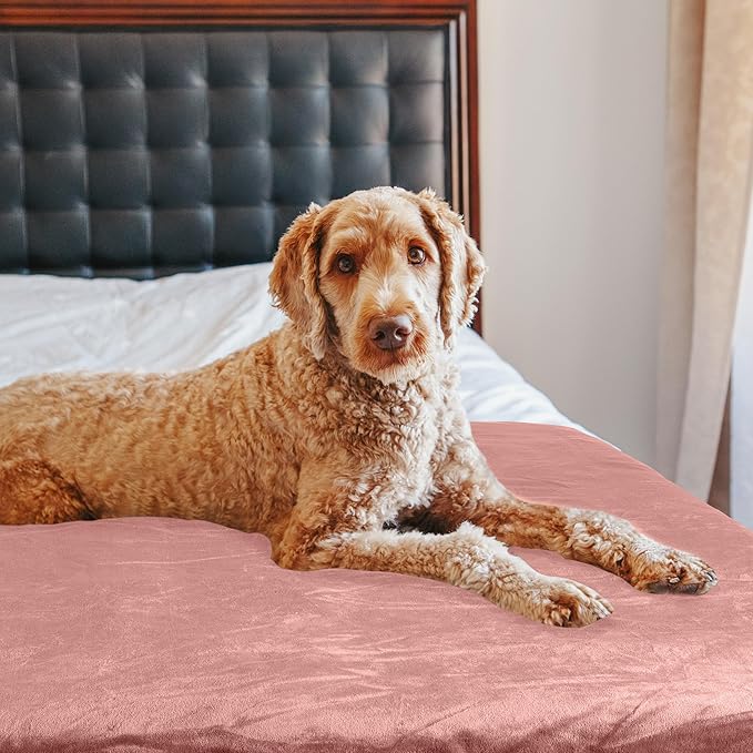 PETMAKER Dog Blanket - 60x70in Reversible Sherpa Blanket - Throw Blankets for Bed, Couch, Crate, or Car - Machine Washable Puppy Essentials (Pink)