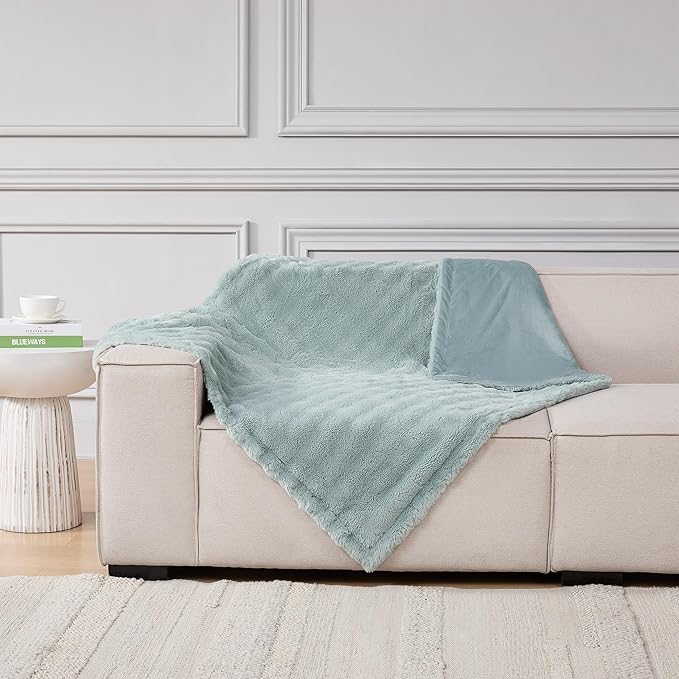 Modern Threads Water-Resistant Faux Rabbit Fur Pet Blanket for Dogs & Cats – Ultra-Soft Couch, Bed & Crate Protector, 50x60 Light Blue