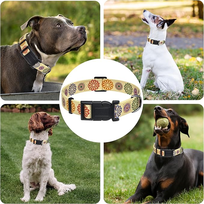 Dog Collar, Classical Indian Spirit Boys Girls Puppy Collar for Small Medium Large Dogs, Adjustable Soft Indian Pet Collar with Safety Buckle for Male Females(Beige,XL)