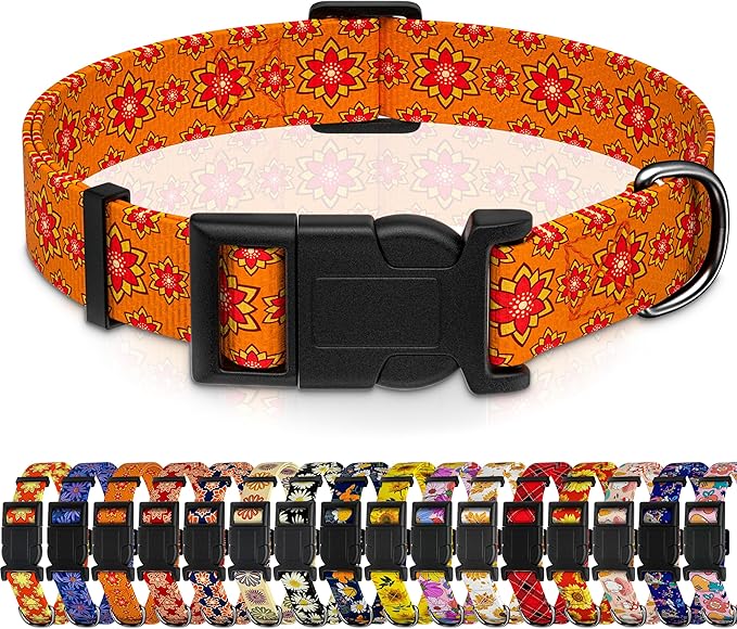Dog Collar, Classical Indian Spirit Boys Girls Puppy Collar for Small Medium Large Dogs, Adjustable Soft Indian Pet Collar with Safety Buckle for Male Females(Orange, XL)