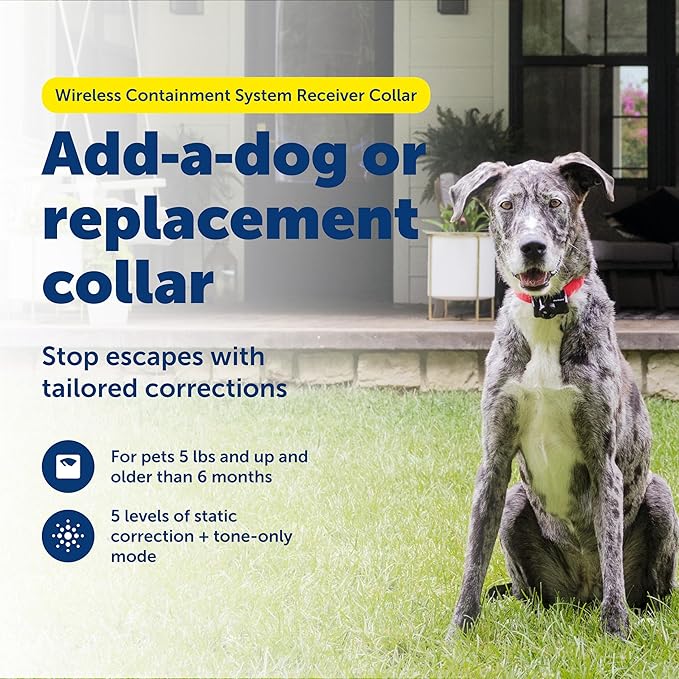 PetSafe Wireless Pet Containment System Receiver Collar - Battery-Operated & Waterproof - Adjustable Receiver Collar with 5 Correction Levels - for Dogs 5lb+