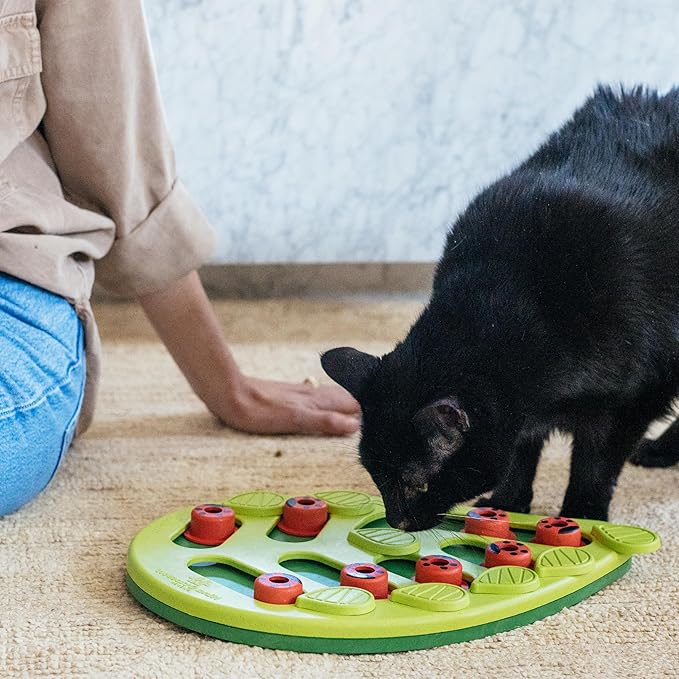 Catstages Nina Ottosson Buggin' Out Puzzle & Play – Interactive Cat Puzzle Feeder for Indoor Cats, 16 Hidden Treat Compartments, Slow Feeder, Durable & Easy-Clean, 13in x 9.5in