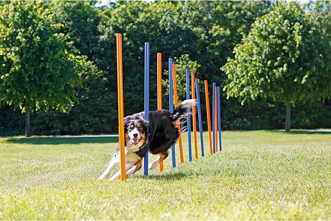 Trixie Dog Agility Slalom Course - 12 Adjustable Weave Poles Backyard Set - Portable Training Equipment with Carrying Bag & Training Guide - for All Breeds