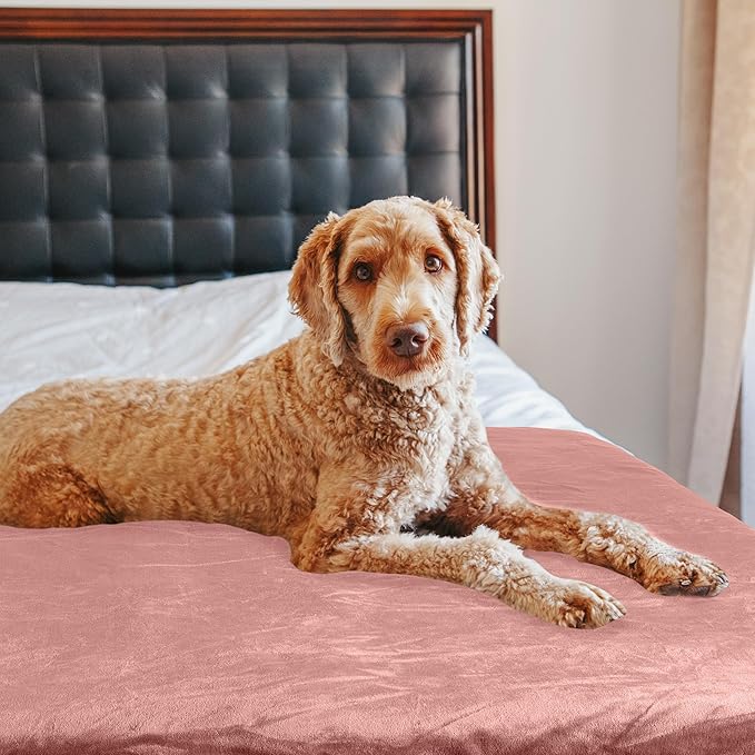 PETMAKER Dog Blanket - 60x80in Reversible Sherpa Blanket - Throw Blankets for Bed, Couch, Crate, or Car - Machine Washable Puppy Essentials (Pink)