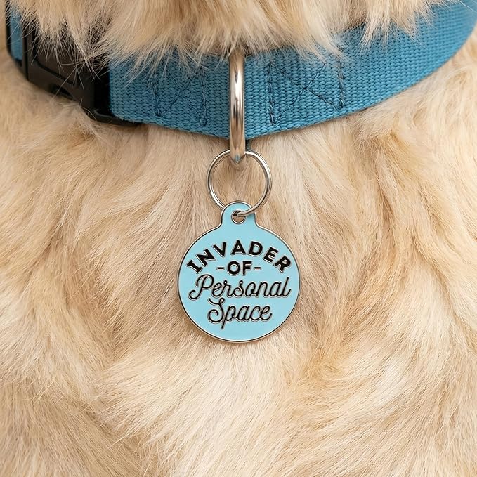 Bad Tags Personalized Dog and Cat ID Tags in 25+ Designs and 2 Sizes - 5 Lines of Custom Engraved Text - Funny Cute Personalized Pet Tags (Invader of Personal Space - Blue, Large (1.25 inch))