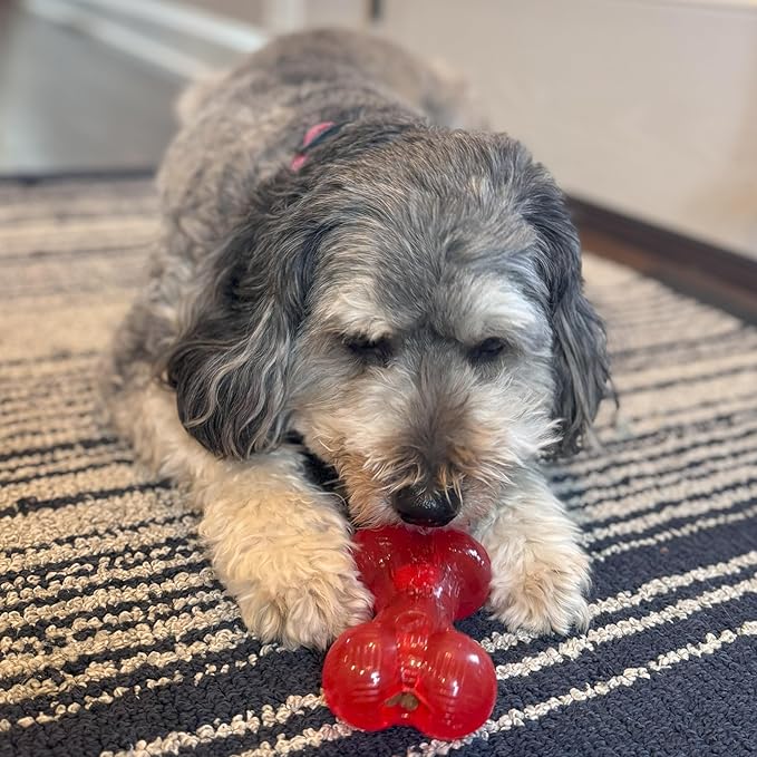 SPOT Play Strong Bone- Durable TPR Long Lasting Dog Chew for Aggressive Chewers, Hole for Treats, Virtually Indestructible Toy for Small and Medium Dogs & Puppies - 4.5 inch