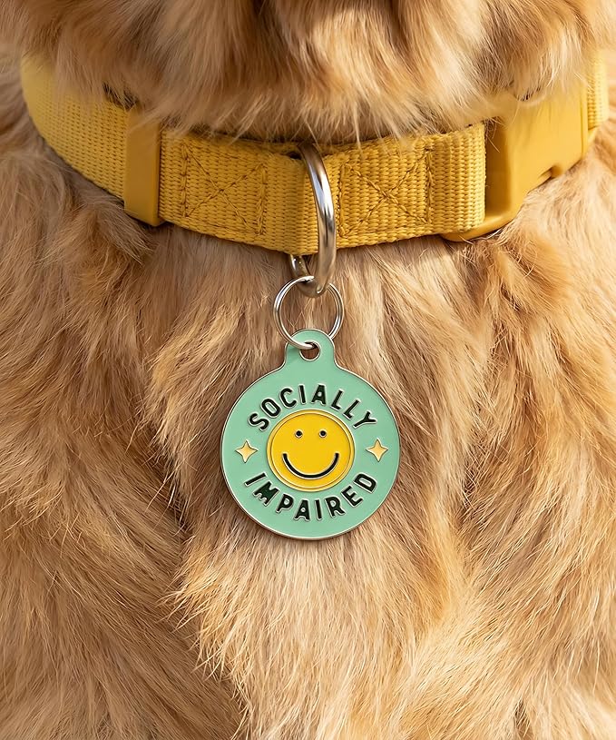 Bad Tags Personalized Dog and Cat ID Tags in 25+ Designs and 2 Sizes - 5 Lines of Custom Engraved Text - Funny Cute Personalized Pet Tags (Socially Impaired, Large (1.25 inch))