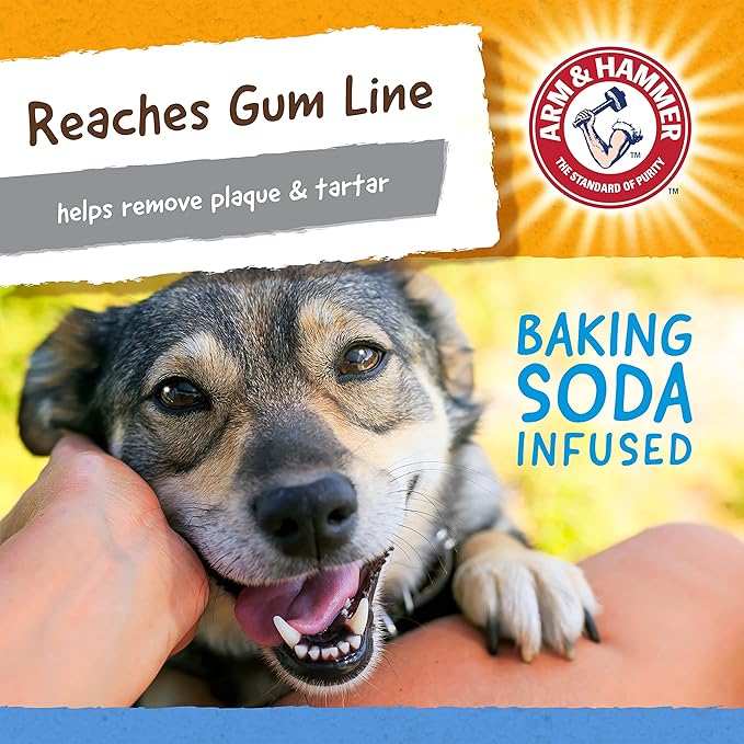 ARM & HAMMER for Pets Nubbies TriBone Dog Dental Toy Best Dog Chew Toy for Moderate Chewers Dog Dental Toy Helps Reduce Plaque & Tartar Peanut Butter Flavor Baking Soda (Pack of 24)