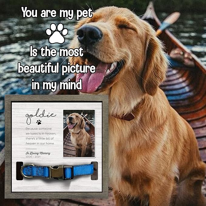 Customized Dog Collar Frame Memorial Pet Loss Sign for Dogs Lovers Gifts With Heartfelt Sentimental Quote For Someone Who Lost A Pet Keepsake Picture Frame Remembrance Decor Wall Remembrance