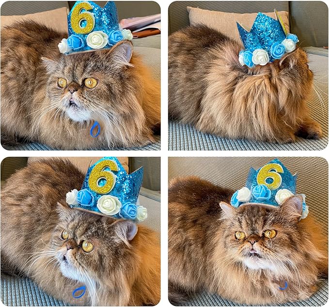 Pet Crown Hat Dog Birthday Reusable Birthday Party Crown for Boy Cat Doggie Headband Hats with 0-9 Figures Charms Pet Gift Grooming Accessories with Glue Dots Pack of 1(Blue)