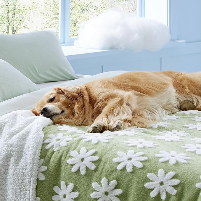 LE SURE Waterproof Dog Blanket for Large Dogs - Washable Double Sided Dog Blankets with Warm Jacquard Shag and Soft Sherpa Fleece, Pet Cat Blanket for King Bed Protection, 3D Textured Flower, Green