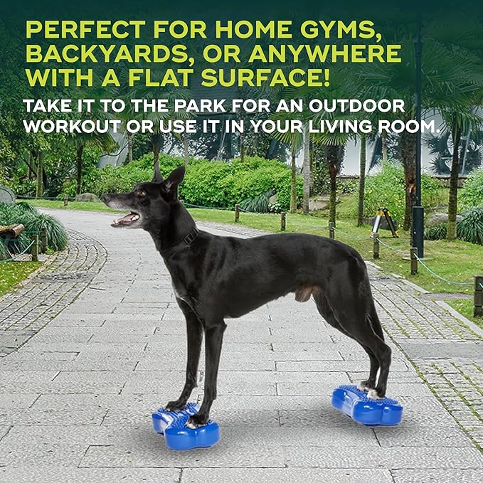 FitPAWS® K9FITbone® - Mini, Blue (Set of 2) | Dog Balance Training Platform & Exercise Equipment | Workout Tool for Strength, Core & Stability