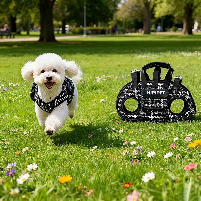 Dog Lift Harness Dog Carrier Adjustable Breathable Vest Straps for Small Medium Pet Treat Bag Fashion Outdoor Hiking (Black M 14-19lb)