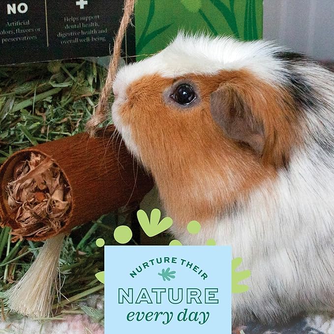 Oxbow Enriched Life Natural Dangly Party Pack, Rabbit Toys, Guinea Pig Toys, Enrichment for Bunny, Guinea Pig, Hamster Stuff, Rabbit Enrichment, Chinchilla, Rat, Chinchilla Cage Accessories