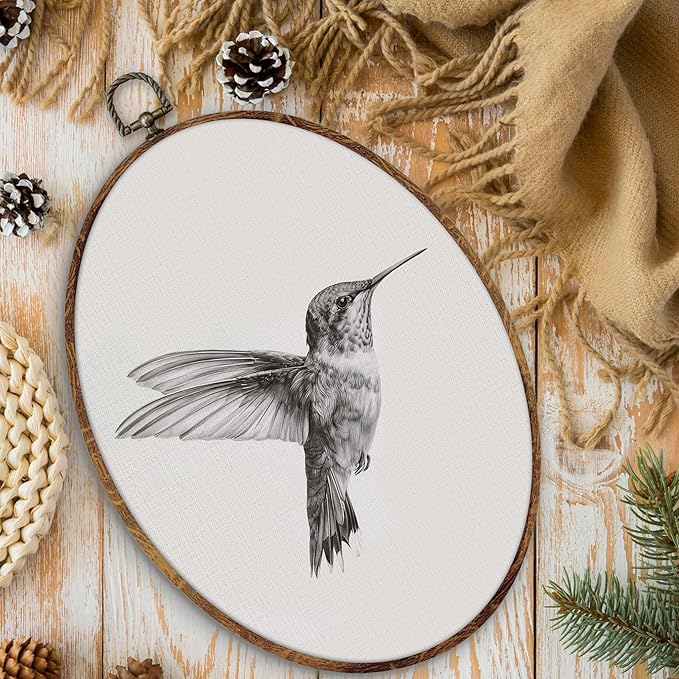 DILSJ Vintage Hummingbird Sketch Oval Wall Art Decor, Rustic Farmhouse Hummingbird Canvas Wall Art Framed, Neutral Bird Hanging Decorations for Home Living Room Bedroom, 11x8.5 Inch