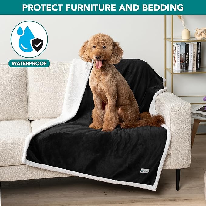 PetAmi Waterproof Dog Blanket for Medium Large Dog Puppy Cat Throw for Couch Cover Leakproof Protection, Sherpa Fleece, Reversible Soft Washable 60x40 Black