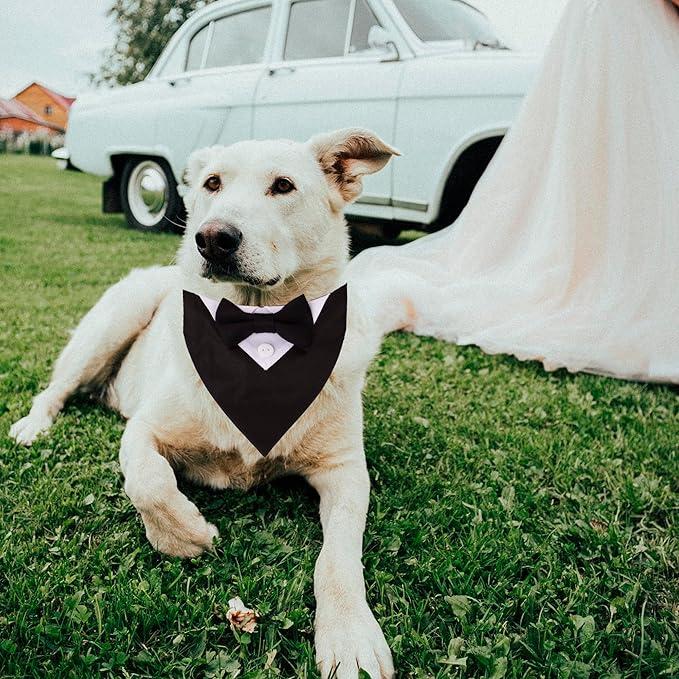ADOGGYGO Formal Dog Tuxedo, Wedding Dog Collar with Bow Tie, Adjustable Pet Wedding Collar Bandana for Small Medium Large Dogs (Medium, Black)