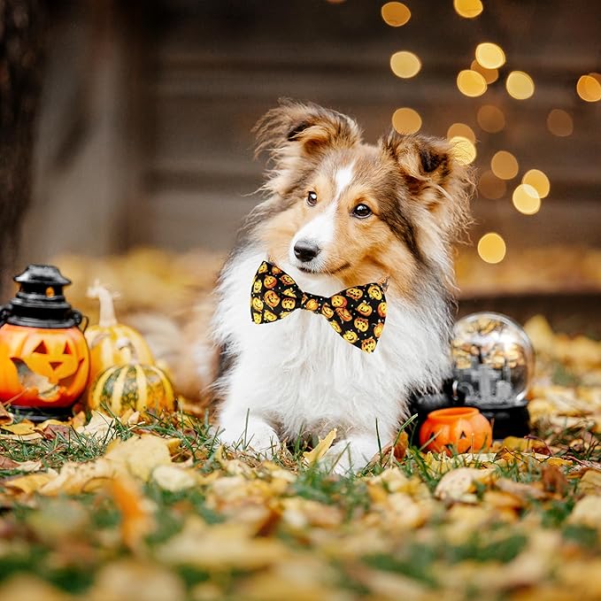Halloween Dog Bow Tie Collar, Holiday Skull Pumpkin Collar for Large Medium Small Dog Pets Puppies