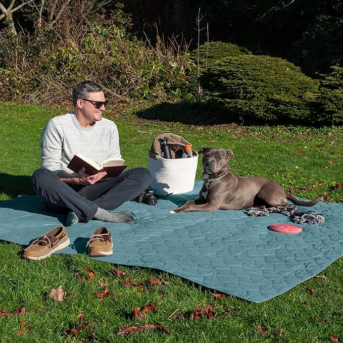 Furhaven Waterproof & Non-Slip Full Size Mattress Cover Protector for Dogs & Cats, Washable, For Beds, Couches, & Car Seats - Quilted Twill Blanket Mattress Cover - Nile Blue, Medium/Full Size