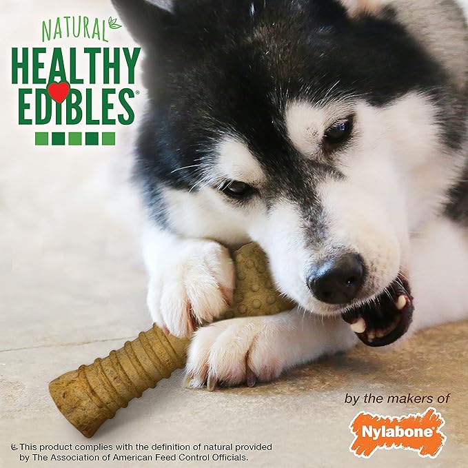 Nylabone Healthy Edibles Natural Dog Chews, Long Lasting Bones for Dogs, Peanut Butter Flavor Dog Treats, X-Large (1 Count)