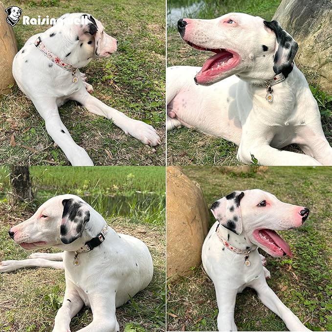Cute Dog Collar Beige Flower Pattern for Boys and Girls Holiday Dog Collars Summer Fall Gift Adjustable for Medium to X-Large Breed Dogs (L)