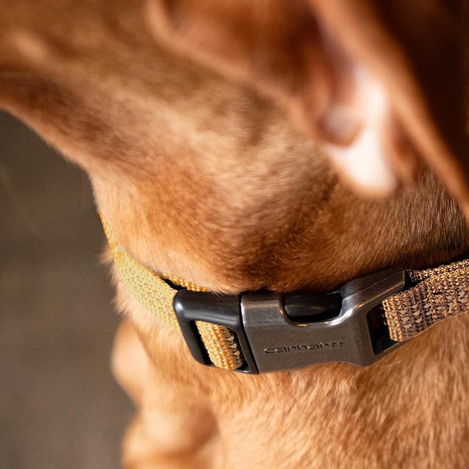 Carhartt Fully Adjustable Nylon Webbing Collars for Dogs, Reflective Stitching for Visibility, Black (Nylon Webbing), Large