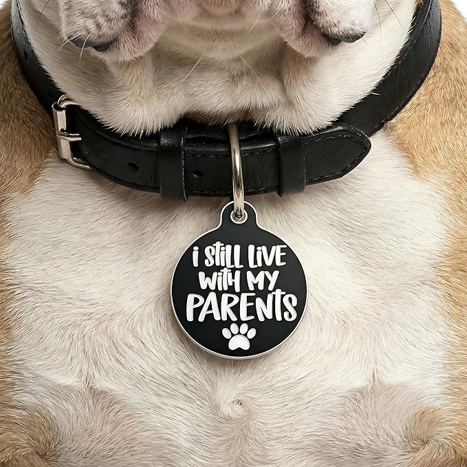 Bad Tags Personalized Dog and Cat ID Tags in 25+ Designs and 2 Sizes - 5 Lines of Custom Engraved Text - Funny Cute Personalized Pet Tags (I Still Live with My Parents, Small (1 inch))