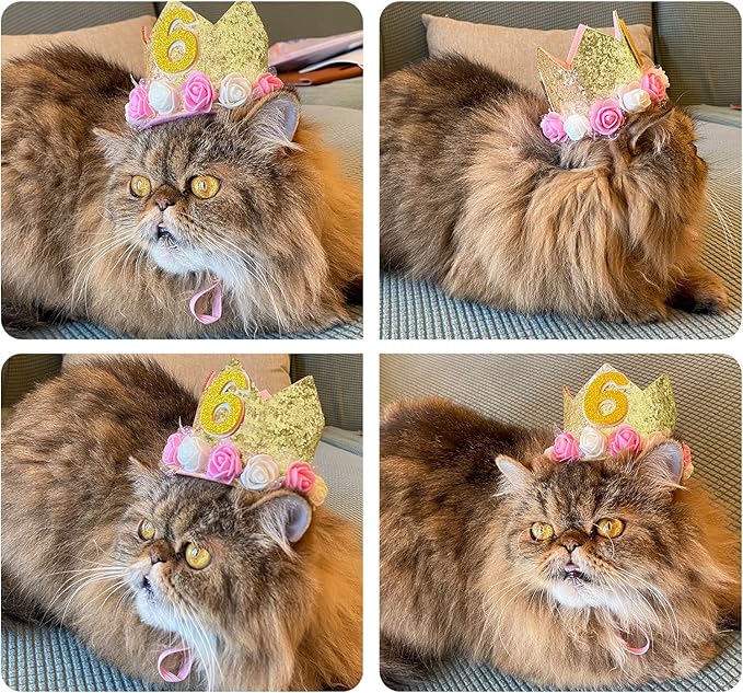 Dog Birthday Crown Hat - Reusable Party Crown with 0-9 Figures Charms for Dogs & Cats - Gold