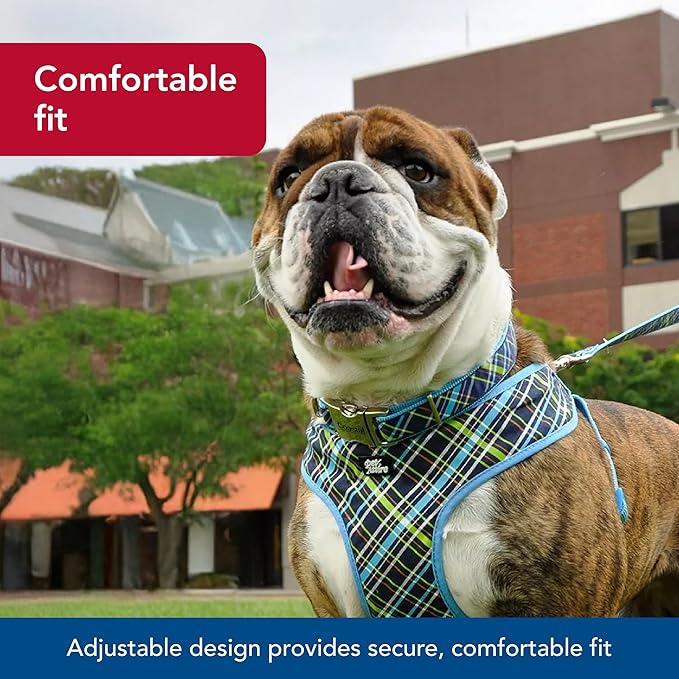 Coastal Pet - Ribbon - Adjustable Dog Collar with Metal Buckle, Yellow Buttercup, 5/8" x 8"-12"