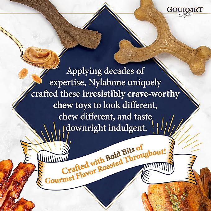 Nylabone Gourmet Style Wishbone Strong Chew Toy for Dogs, Bacon Flavor, Small - Up to 25 lbs, 1 Count