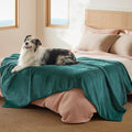 Bedsure Waterproof Blanket for Bed - Sherpa Fleece Waterproof Dog Blankets for Large Dogs, Pet Blankets for Bed/Couch/Dog Crate, Soft Plush Reversible Furniture Protector, Twin Size, 80"x60", Green