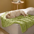 Bedsure Dog Blanket for Medium Dogs Washable - Fluffy Fuzzy Puppy Cat Blanket with Premium 300GSM Coral Fleece Soft for Pet Kitten Doggy, Green, 30x40IN