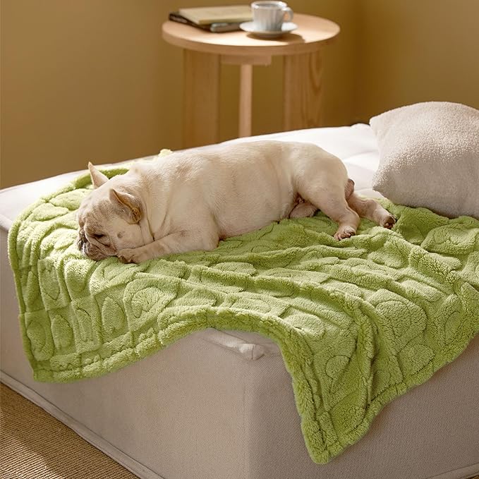 Bedsure Dog Blanket for Medium Dogs Washable - Fluffy Fuzzy Puppy Cat Blanket with Premium 300GSM Coral Fleece Soft for Pet Kitten Doggy, Green, 30x40IN