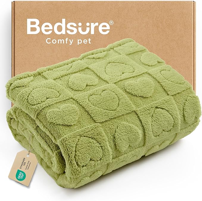 Bedsure Dog Blanket for Small Dogs Washable - Fluffy Fuzzy Puppy Cat Blanket with Premium 300GSM Coral Fleece Soft for Pet Kitten Doggy, Green, 25x35IN