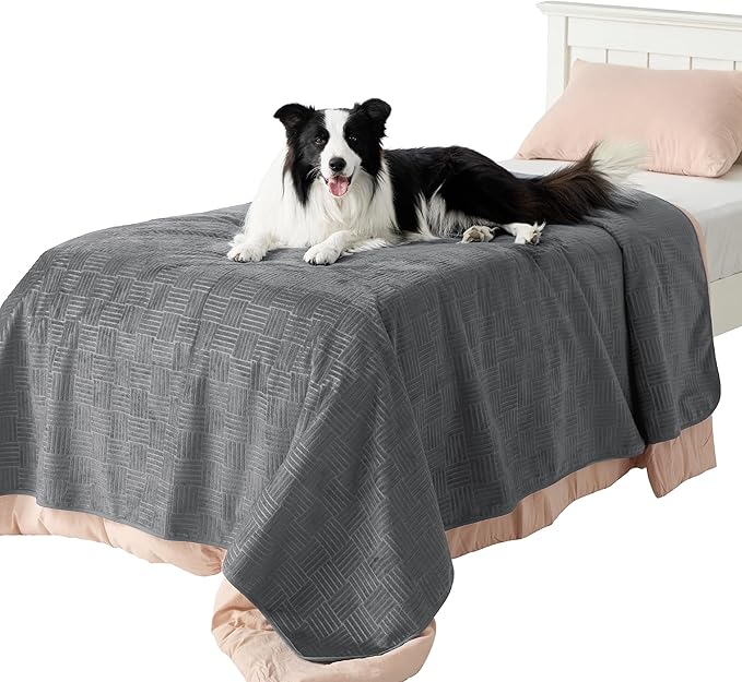 Bedsure Waterproof Bed Cover for Dogs Washable - Waterproof Blanket for Twin Bed Couch Sofa Cozy, Lightweight Furniture Protector for Pet Cat Quick Drying, Ash Grey, 68x82IN