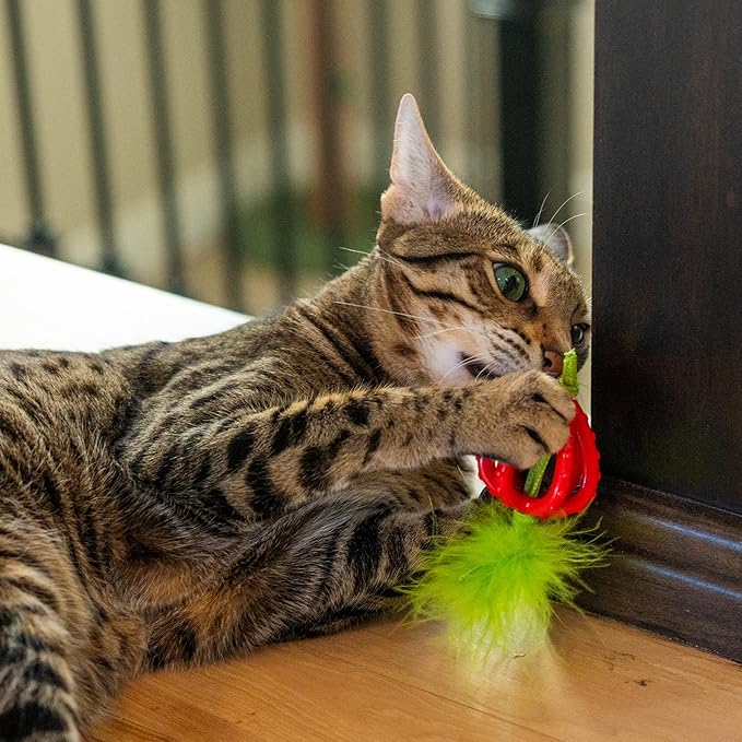 Catstages Dental Strawberry Teether, Soft and Textured Cat Chew Toy, Catnip Oil Coating, Pink
