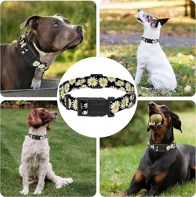 Dog Collar, Daisy Boys Girls Puppy Collar for Small Medium Large Dogs, Adjustable Soft Floral Pet Collar with Safety Buckle for Male Females(Black Daisy,M)